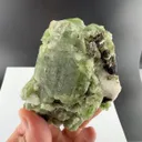 Diopside from Pakistan - image 3