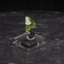 Diopside, Graphite - image 2