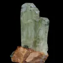 Diopside, Grossular Garnet and Clinochlore - image 5