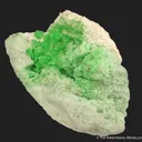Diopside in Wollastonite - image 3