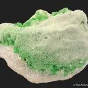 Diopside in Wollastonite - image 6