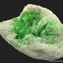 Diopside in Wollastonite - image 2