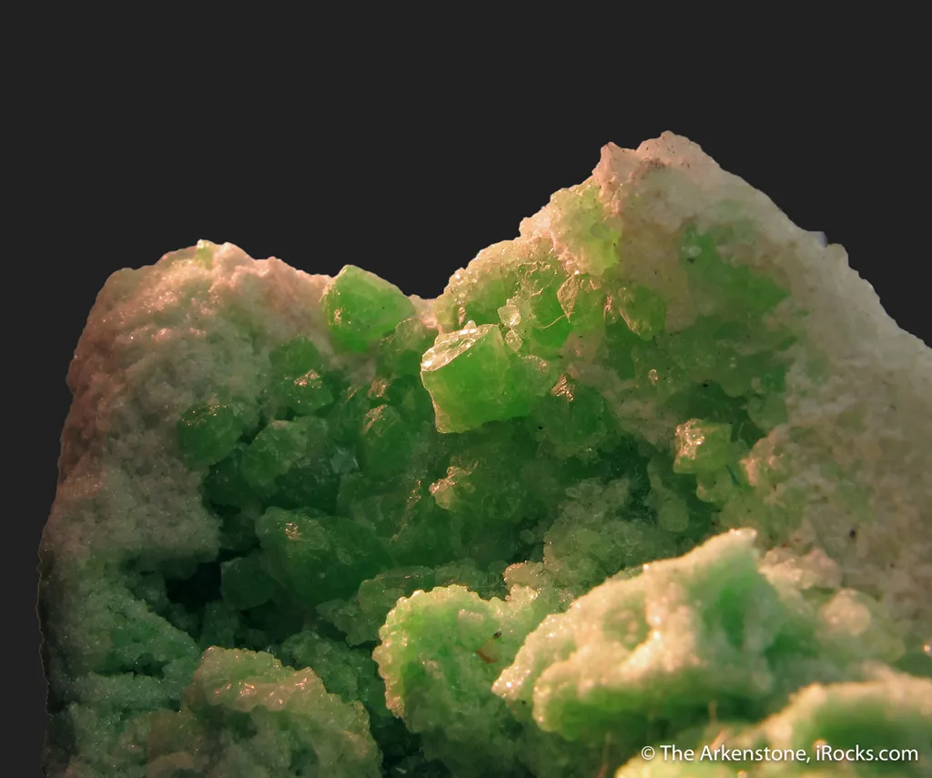 Diopside in Wollastonite - image 5