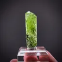 Diopside (Rough & Cut Set) - image 3