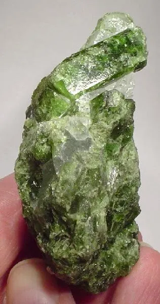Diopside (Var: Chromian Diopside) image