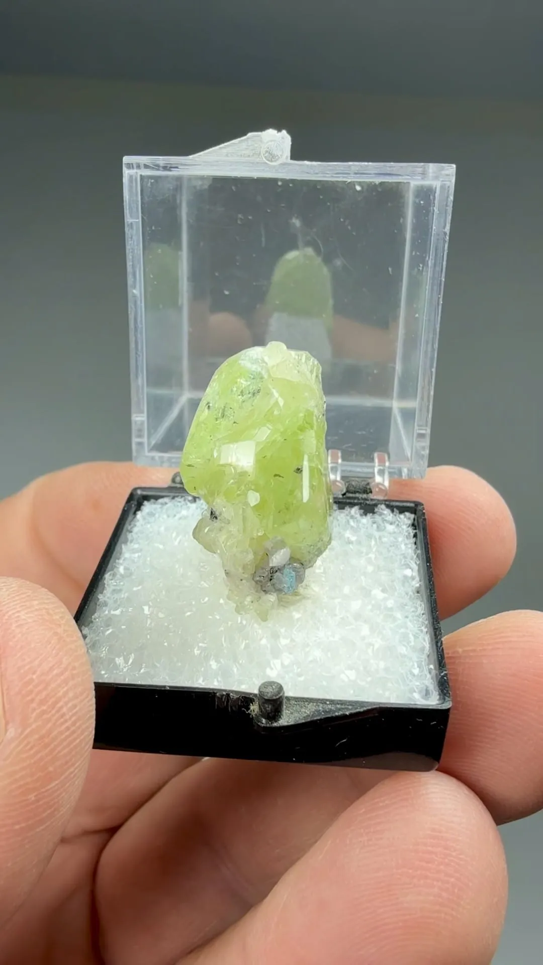 Diopside with Fluorapatite - image 2