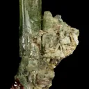 Diopside with Grossular Garnet - image 6