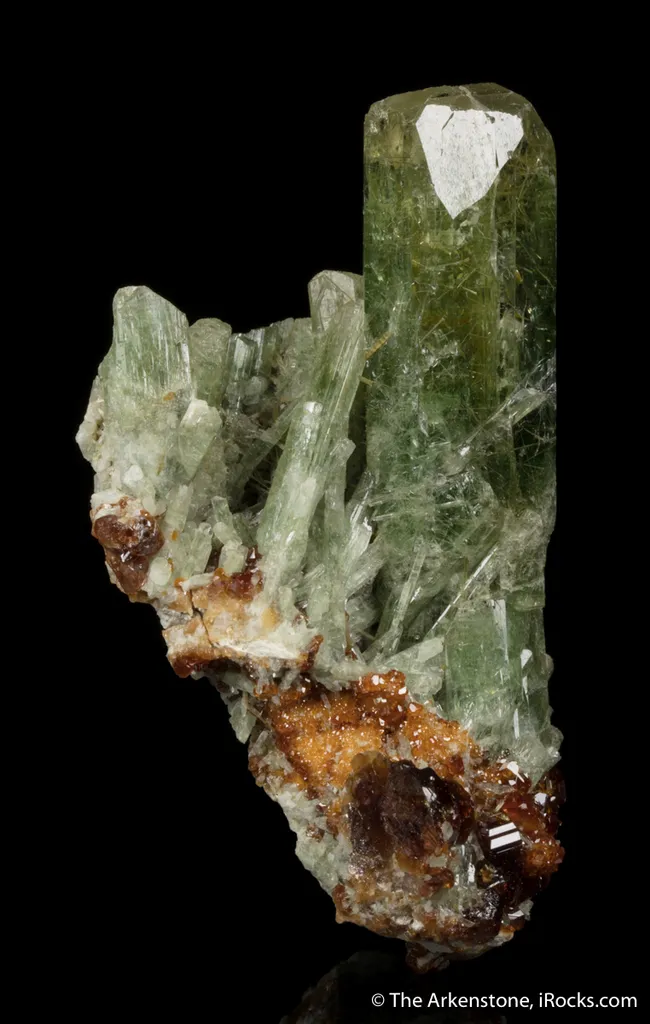 Diopside with Grossular Garnet - image 5