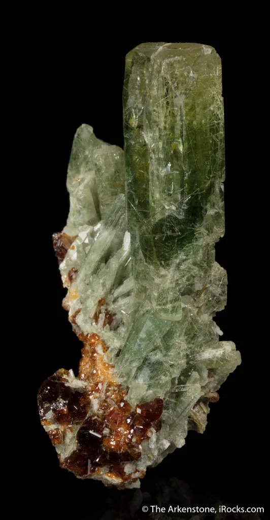 Diopside with Grossular Garnet - image 4