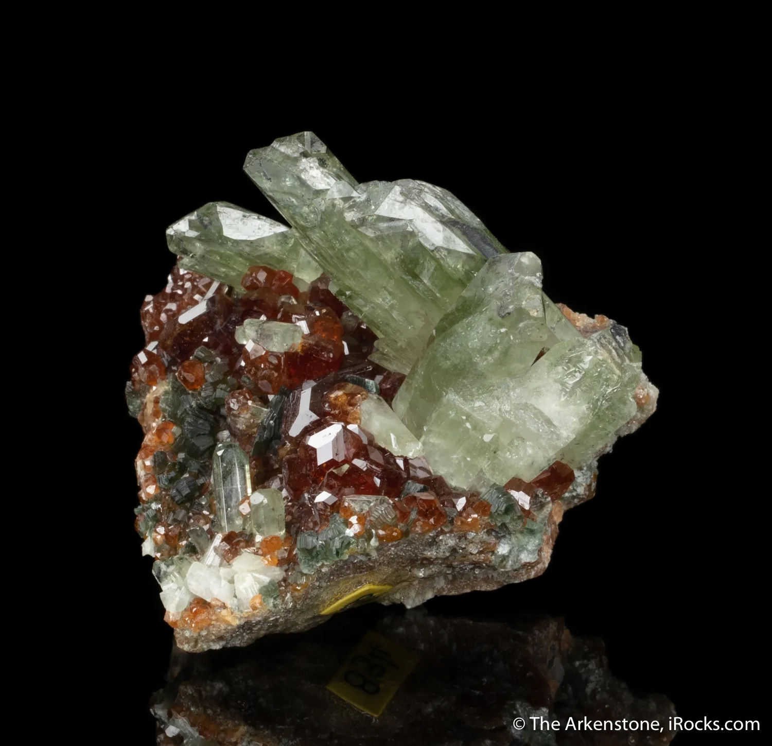 Diopside with Grossular var. Hessonite Garnet - image 4
