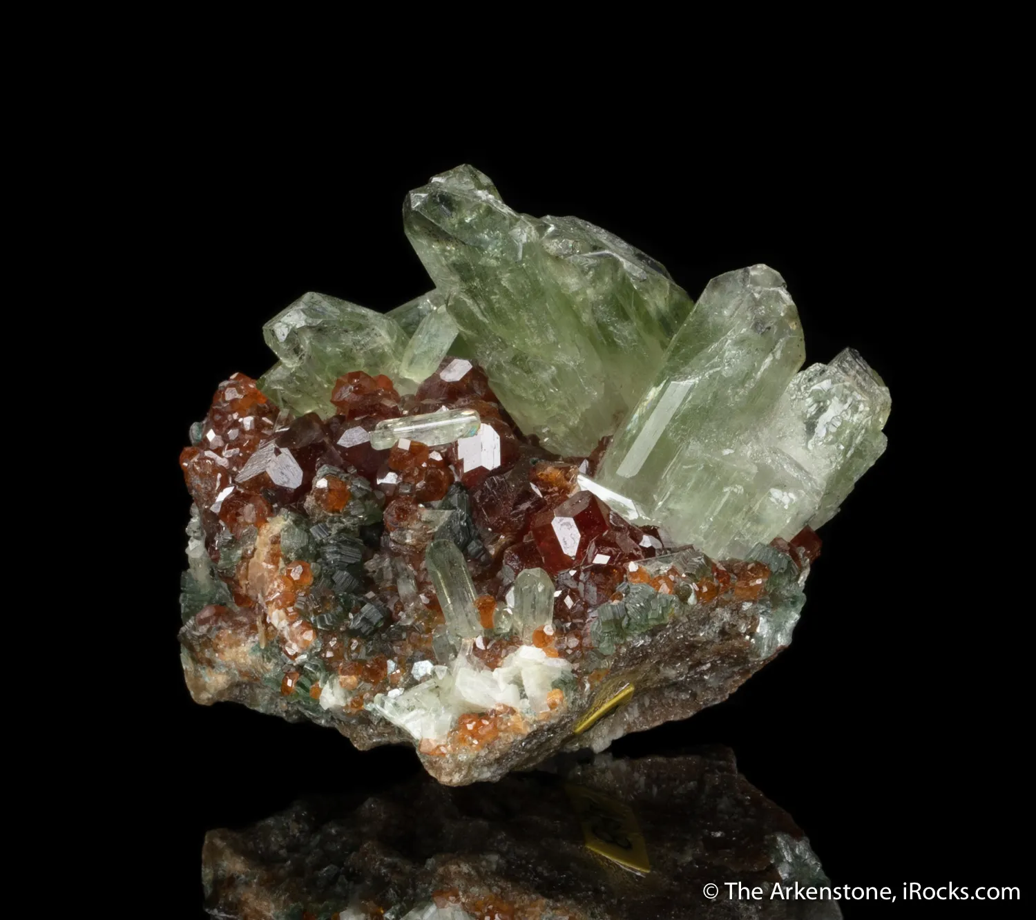 Diopside with Grossular var. Hessonite Garnet - image 1