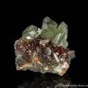 Diopside with Grossular var. Hessonite Garnet - image 5