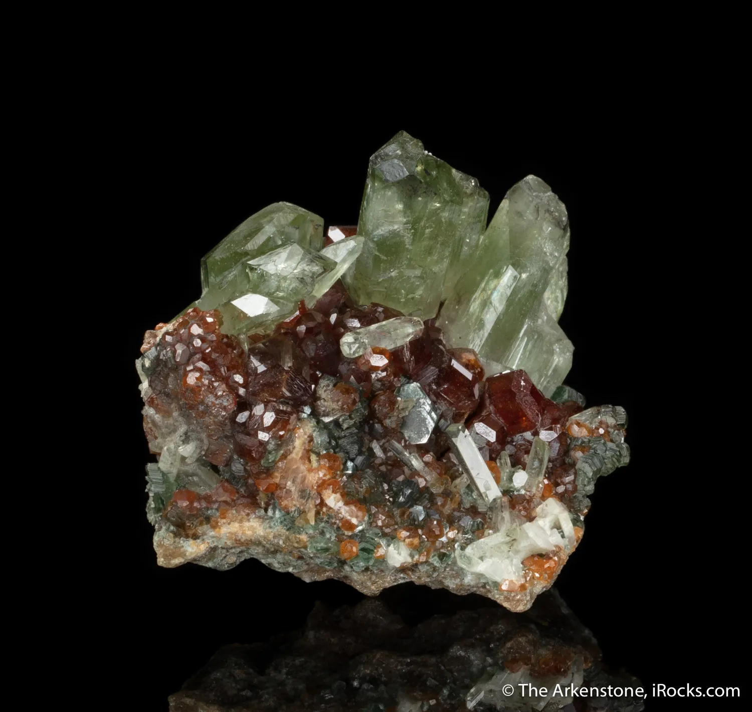 Diopside with Grossular var. Hessonite Garnet - image 5