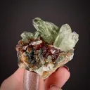 Diopside with Grossular var. Hessonite Garnet - image 2