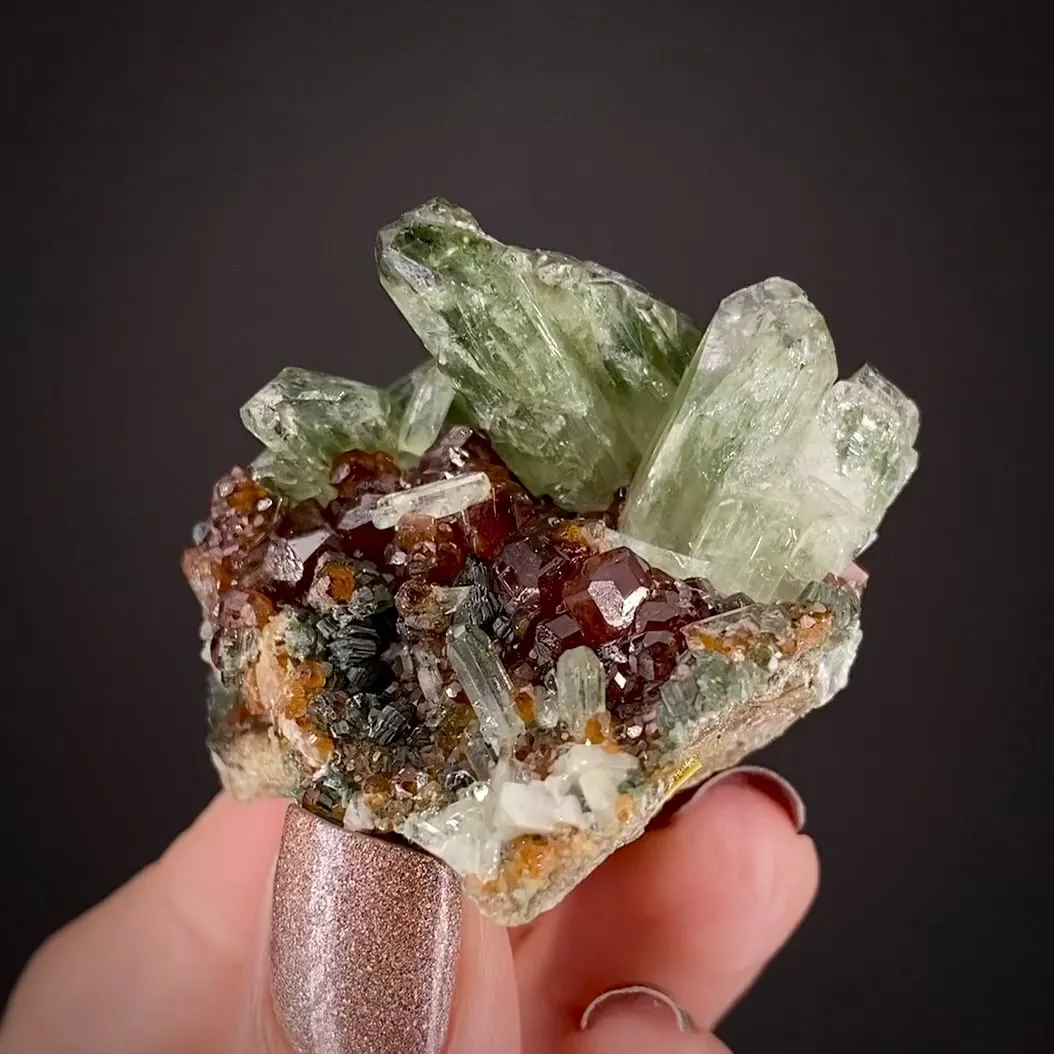 Diopside with Grossular var. Hessonite Garnet - image 2