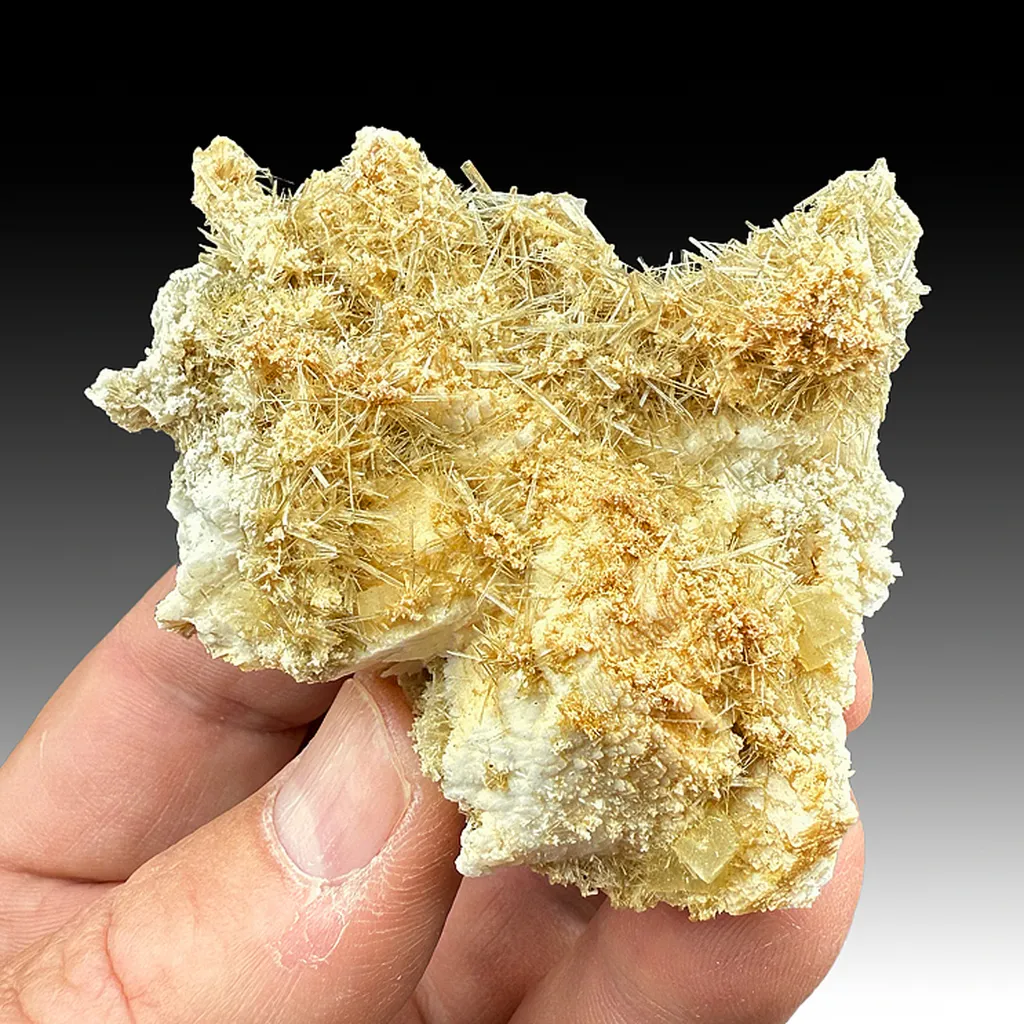 Diopside with Prehnite image