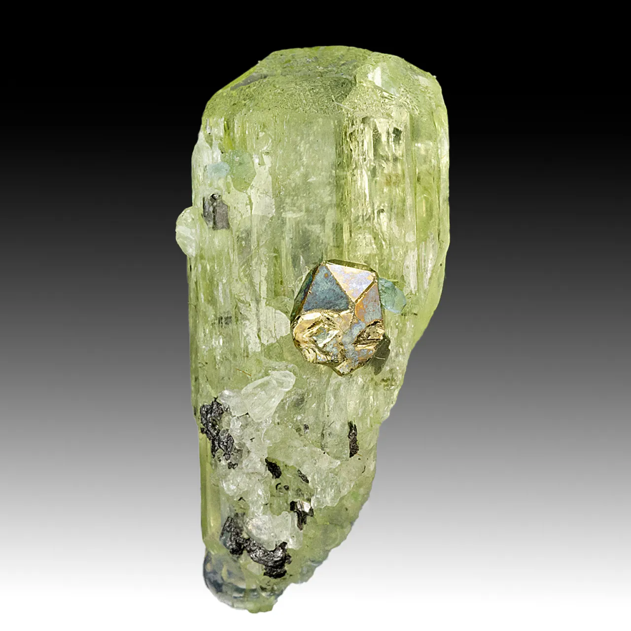 Diopside with Pyrite - image 1