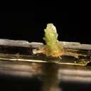 Diopside with Vesuvianite - image 1