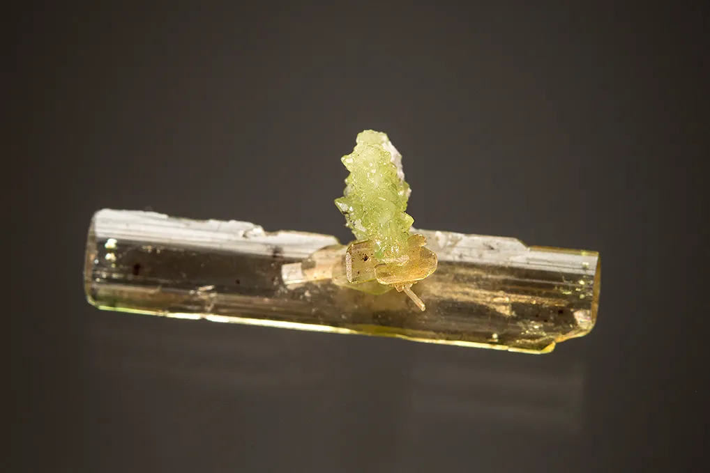 Diopside with Vesuvianite - image 2