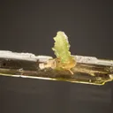 Diopside with Vesuvianite - image 2