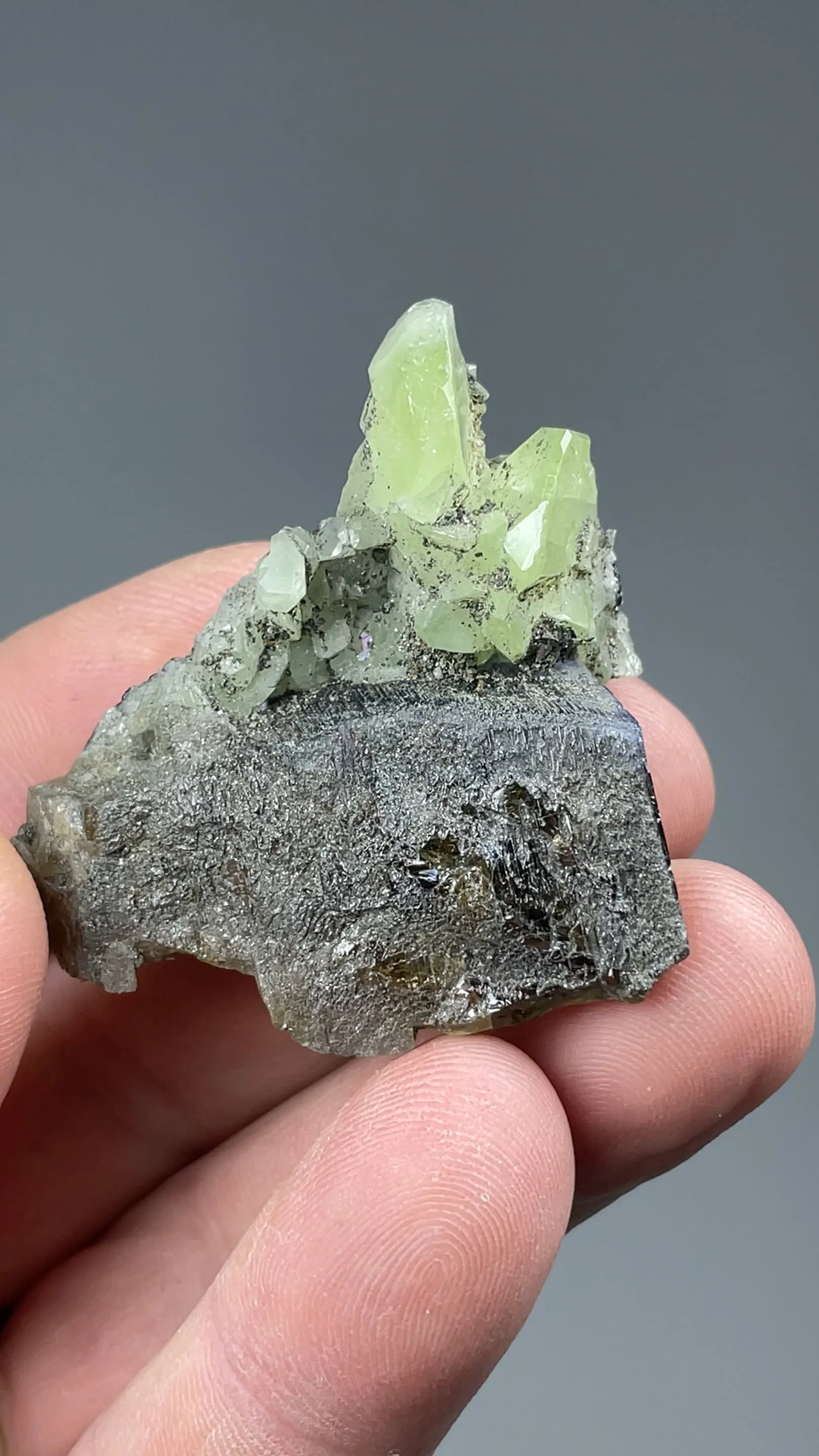 Diopside with Zoisite - image 2