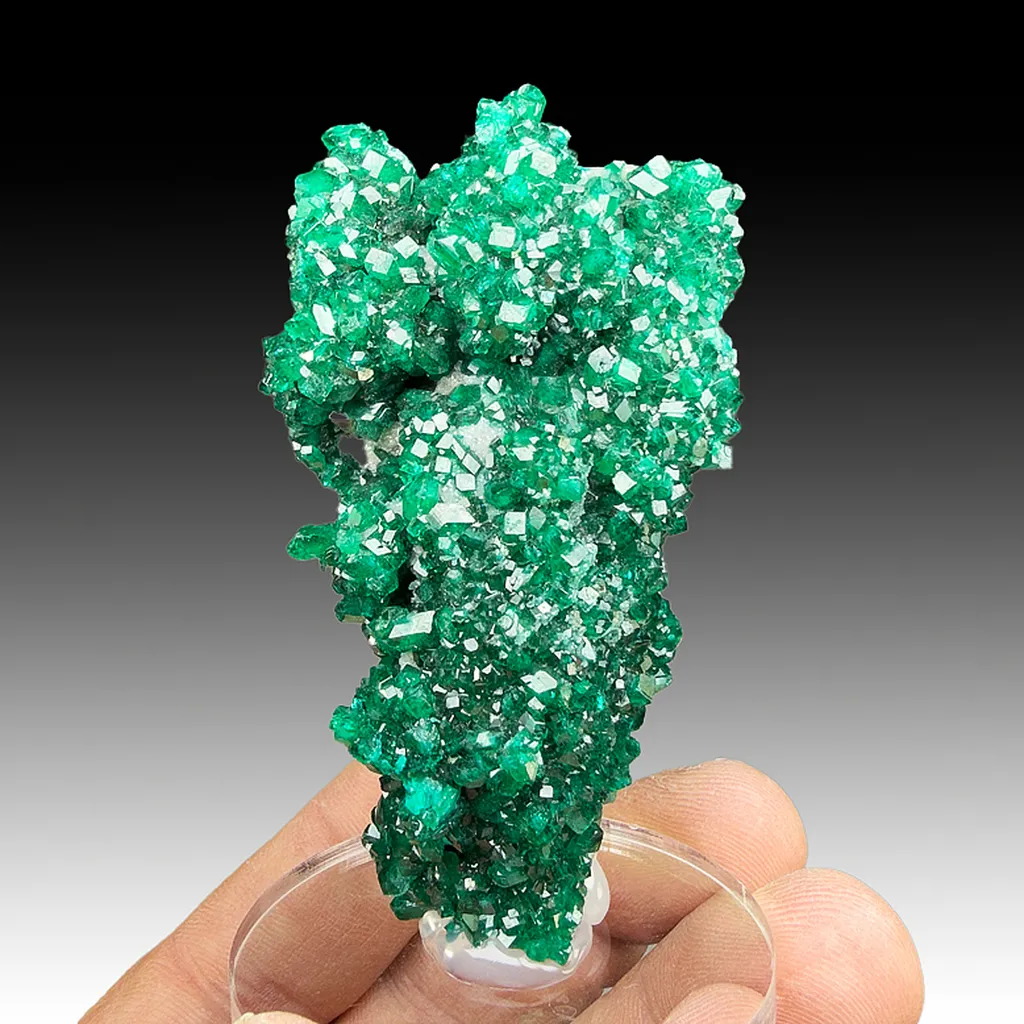 Dioptase image