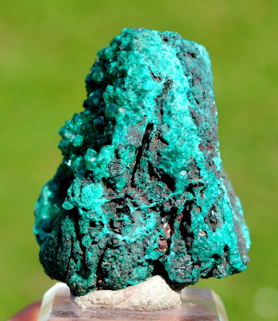 Dioptase 113 grams - Mfouati District, Bouenza Department, Republic of the Congo - image 8