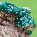 Dioptase 129 grams - Tantara Mine, Shinkolobwe, Kambove Territory, Haut-Katanga, DR Congo - image 8