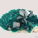 Dioptase (2 generations) on Calcite - image 5