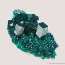 Dioptase (2 generations) on Calcite - image 1