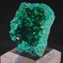 specimen video
