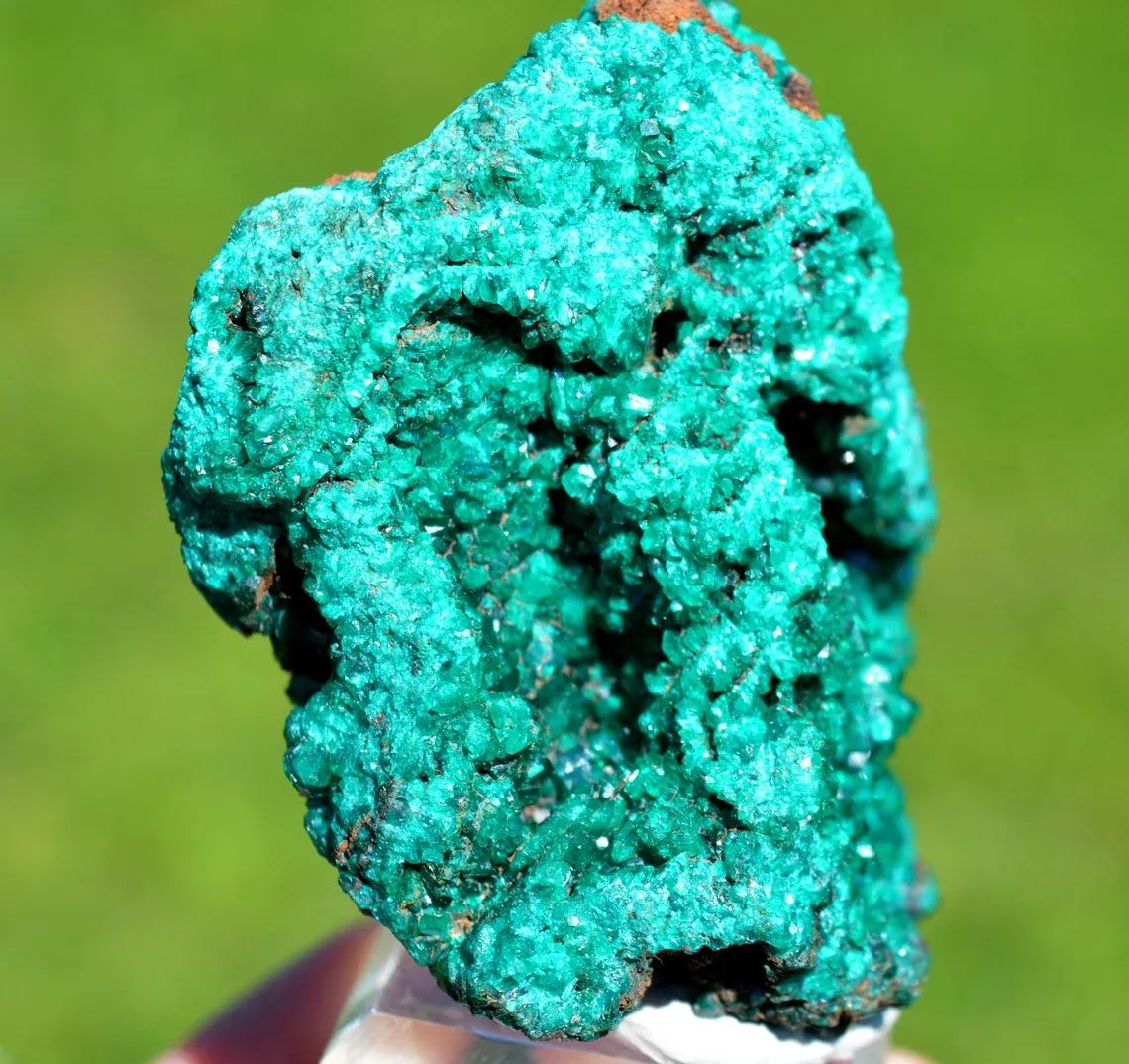 Dioptase 220 grams - Mpita prospect, Kimbedi, Mindouli District, Pool Department, Republic of Congo - image 3
