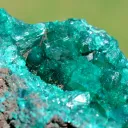 Dioptase 264 grams - Mfouati District, Bouenza Department, Republic of the Congo - image 3