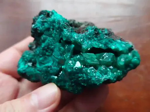 specimen video