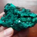 specimen video