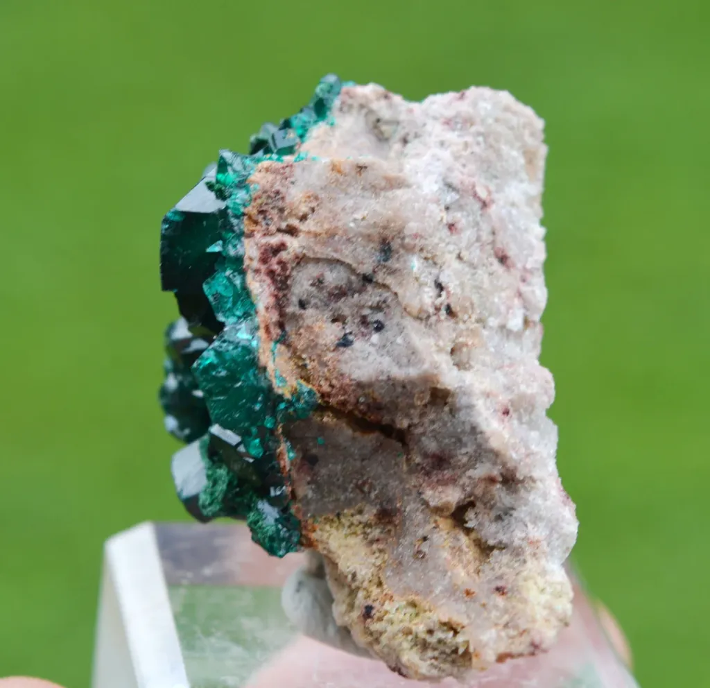 Dioptase 43 grams - Tantara Mine, Shinkolobwe, Kambove Territory, Haut-Katanga, DR Congo - image 5