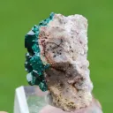 Dioptase 43 grams - Tantara Mine, Shinkolobwe, Kambove Territory, Haut-Katanga, DR Congo - image 5