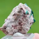 Dioptase 43 grams - Tantara Mine, Shinkolobwe, Kambove Territory, Haut-Katanga, DR Congo - image 6