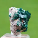Dioptase 43 grams - Tantara Mine, Shinkolobwe, Kambove Territory, Haut-Katanga, DR Congo - image 4
