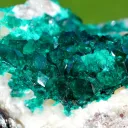Dioptase 552 grams - Tsumeb Mine, Tsumeb, Oshikoto Region, Namibia - image 4