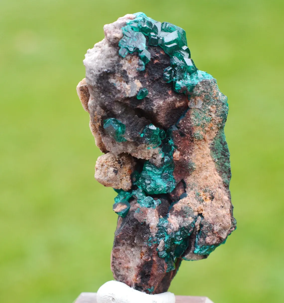 Dioptase 70 grams - Tantara Mine, Shinkolobwe, Kambove Territory, Haut-Katanga, DR Congo - image 5