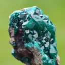 Dioptase 70 grams - Tantara Mine, Shinkolobwe, Kambove Territory, Haut-Katanga, DR Congo - image 3