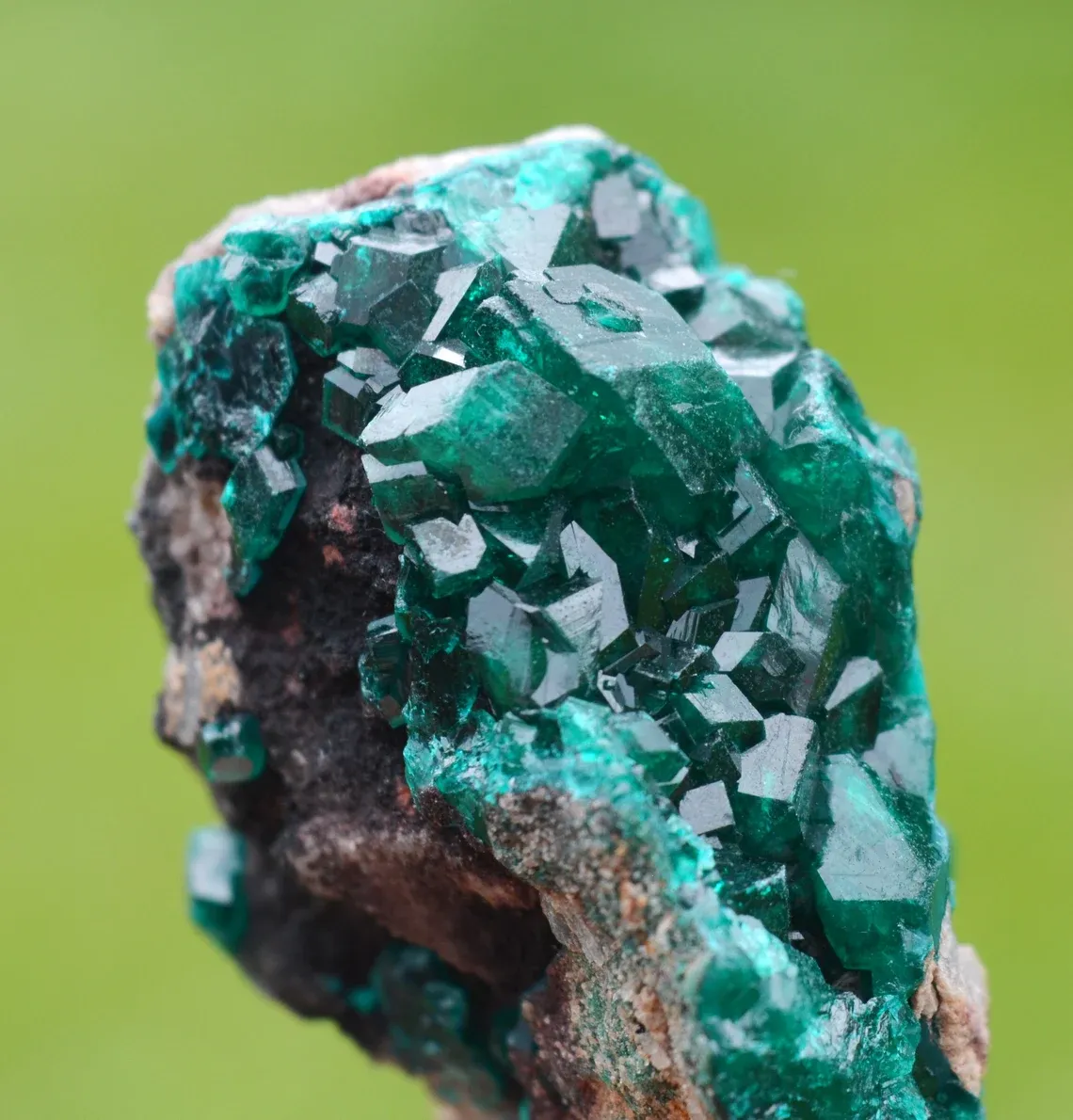 Dioptase 70 grams - Tantara Mine, Shinkolobwe, Kambove Territory, Haut-Katanga, DR Congo - image 3