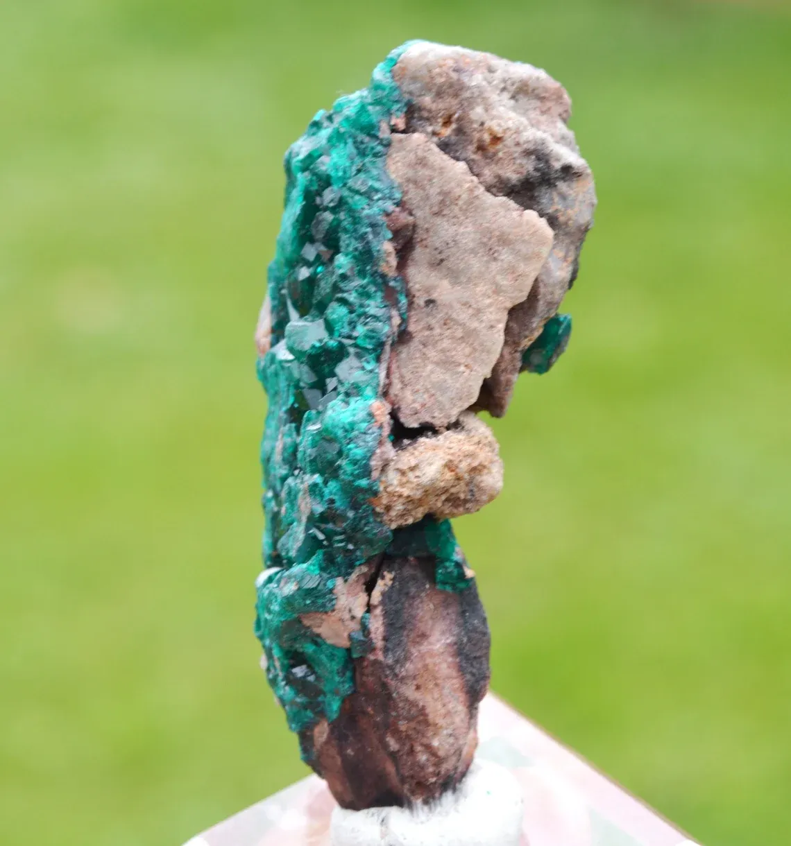 Dioptase 70 grams - Tantara Mine, Shinkolobwe, Kambove Territory, Haut-Katanga, DR Congo - image 6