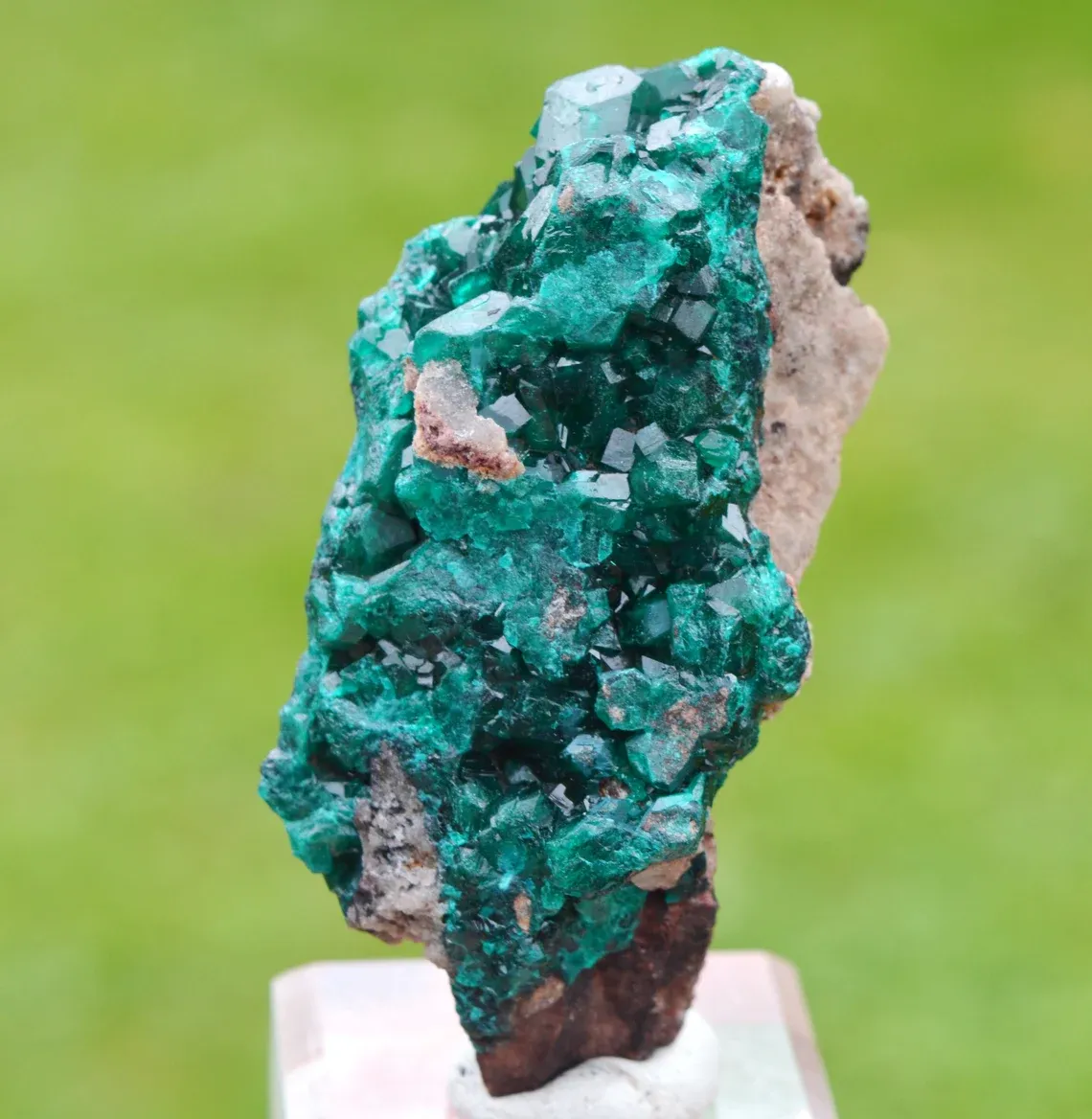 Dioptase 70 grams - Tantara Mine, Shinkolobwe, Kambove Territory, Haut-Katanga, DR Congo - image 2