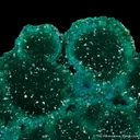Dioptase - image 4