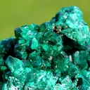 Dioptase 937 grams - Mpita prospect, Kimbedi, Mindouli District, Pool Department, Republic Congo - image 4