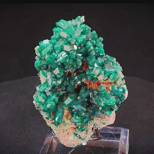 specimen video