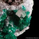 Dioptase and Calcite - image 3