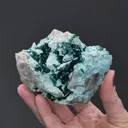 Dioptase and Chrysocolla on Quartz - image 2